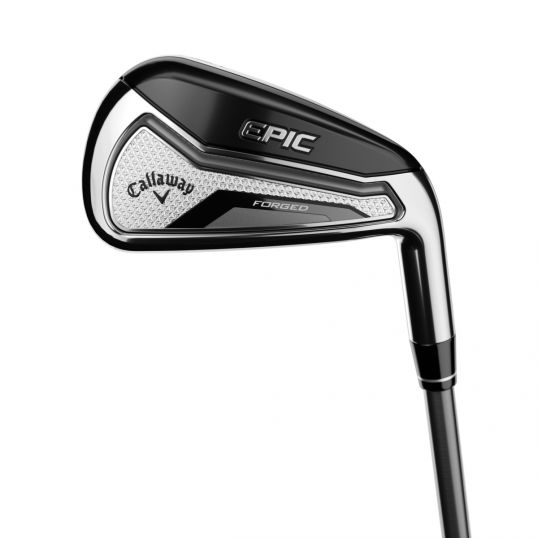 Epic Forged Steel Irons