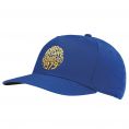 Lifestyle 1979 Hat Mens Adjustable Royal