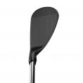 Jaws Raw Black Steel Wedge