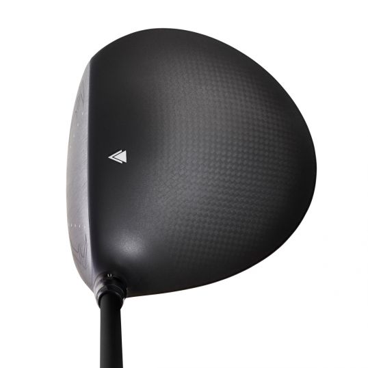 Ezone GS i-Tech Driver