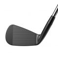 Forged Tec Black Irons