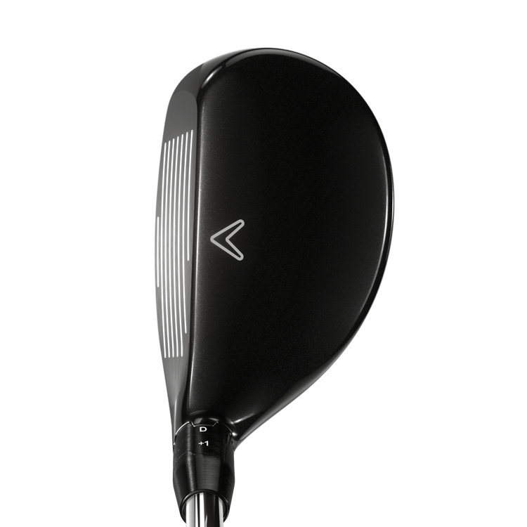 Product Image for Big Bertha Hybrid