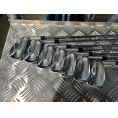 T-World Forged irons Steel Shafts