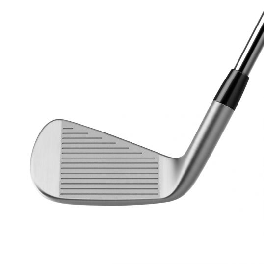 P790 Irons Steel Shafts Right Regular Dynamic Gold 95 5-PW (Used - 5 Star)