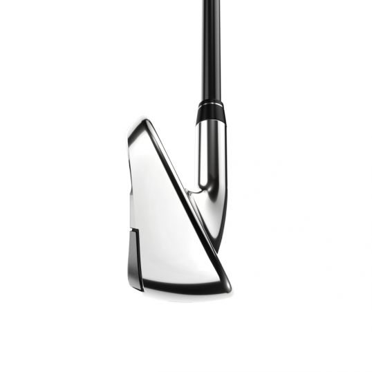 Paradym Ai Smoke Max Fast Irons Graphite Shafts