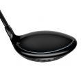 Darkspeed Max Womens Driver