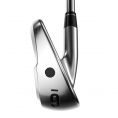 Apex Ti Fusion 250 Plated Irons Graphite Shafts