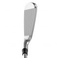 Apex Ti Fusion 250 Plated Irons Steel Shafts