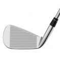 Apex Ti Fusion 250 Plated Irons Steel Shafts