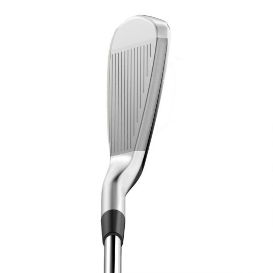 DYNAPWR Irons Steel Shaft