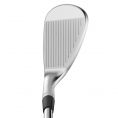 Staff Model ZM Wedge