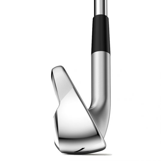 DYNAPWR Max Irons Graphite Shaft
