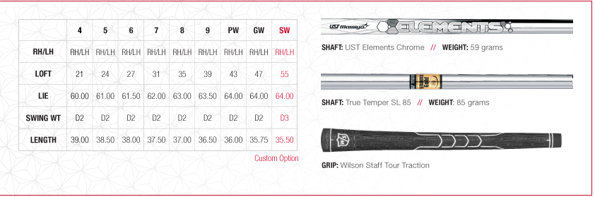 Custom fit details for D200 Irons Steel Shafts