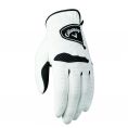 Xtreme 365 Glove 2017 2 Glove Pack