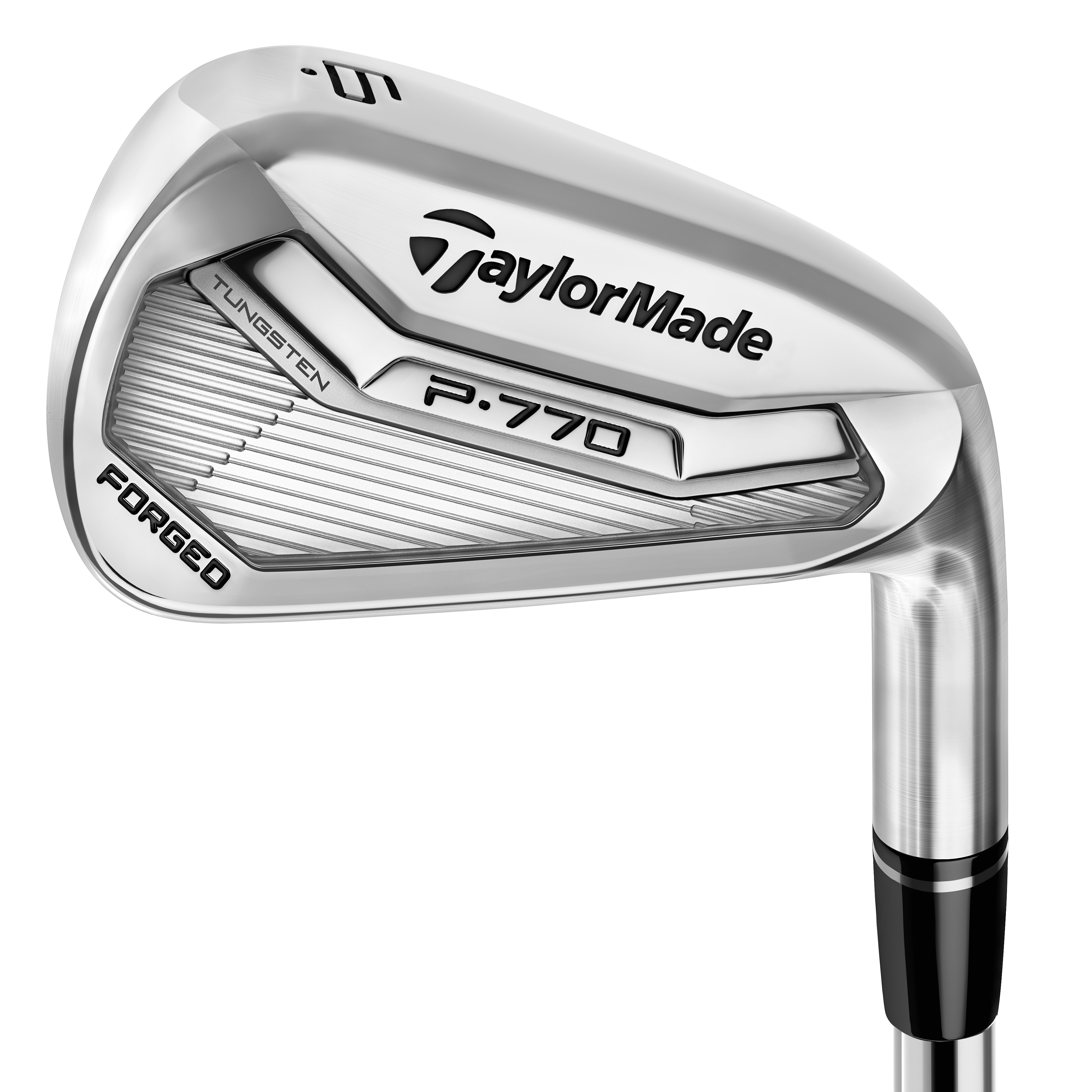 TaylorMade P770 Irons Steel Shafts | Irons at JamGolf
