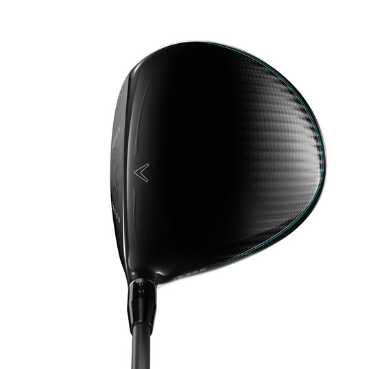 Rogue 2018 Driver No Headcover