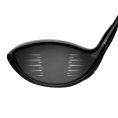 TS2 Driver
